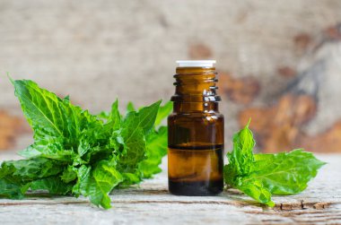Eski ahşap arka planda gerekli nane yağıyla küçük bir şişe. Taze naneli yapraklar. Aromaterapi, spa ve bitkisel ilaç malzemeleri. Boşluğu kopyala  
