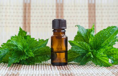 Uçucu nane yağı ile küçük bir şişe. Taze nane yaprakları yakın. Aromaterapi, spa ve bitkisel ilaç maddeleri. Kopyalama alanı  