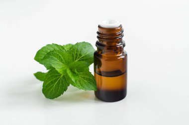 Uçucu nane yağı ile küçük bir şişe. Taze nane yaprakları yakın. Aromaterapi, spa ve bitkisel ilaç maddeleri. Kopyalama alanı   