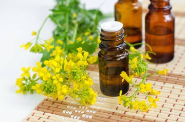 Küçük cam şişe ve gerekli yağ. Sarı yabani çiçekler kapanıyor. Aromaterapi, spa ve bitkisel ilaç malzemeleri. Boşluğu kopyala. 