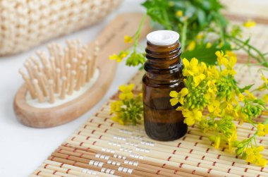 Küçük cam şişe, gerekli yağ, ahşap saç fırçası ve sarı kır çiçekleri kapanıyor. Aromaterapi, spa ve bitkisel ilaç malzemeleri. Boşluğu kopyala. 