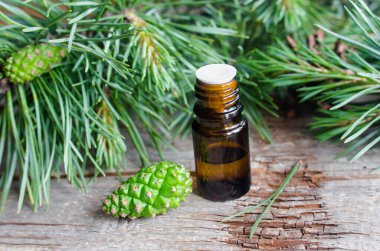 Eski ahşap zemin üzerinde çam yağı bulunan küçük cam şişe. Çam dalları ve yeşil koni yakın çekim. Aromaterapi, spa ve bitkisel ilaç malzemeleri. Boşluğu kopyala. 