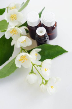 Beyaz arka plan ve yasemin çiçeklerinde yasemin yağı (tentür, infüzyon, parfüm) bulunan küçük cam şişeler. Aromaterapi, spa ve bitkisel ilaç malzemeleri. Üst görünüm, alanı kopyala.