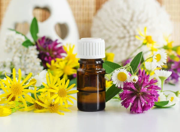 Kleine Glazen Fles Met Essentiële Olie Kruidentinctuur Extract Infusie Wilde — Stockfoto