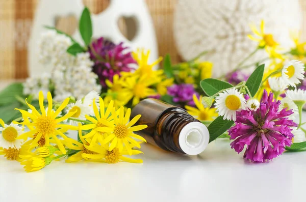 Piccola Bottiglia Vetro Con Olio Essenziale Tintura Erbe Estratto Infusione — Foto Stock