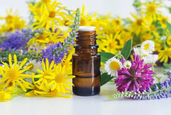 Kleine Glazen Fles Met Essentiële Olie Kruidentinctuur Extract Infusie Wilde — Stockfoto