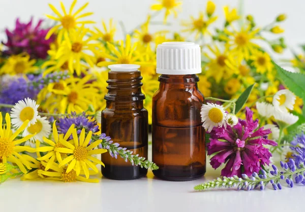 Twee Glazen Flesjes Met Essentiële Olie Kruidentinctuur Extract Infusie Wilde — Stockfoto