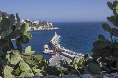 Nice, Fransa - 22 Nisan 2017: Nice bağlantı noktası ve şehir ve ön planda bir kaktüs görünümünden