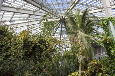 Nice, Fransa - 23 Nisan 2017: çeşitli bitkilerde Parc Phoenix sera Nice, Fransa