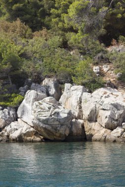 Lokrum, Hırvatistan - 22 Ağustos 2017: Lokrum Adası doğal rezerv