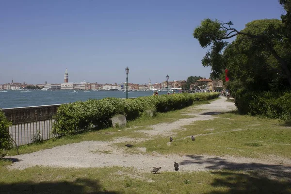 Wencja Włochy Maj 2016 Krajobraz Wenecji Ogrodu Publicznego Giardini — Zdjęcie stockowe