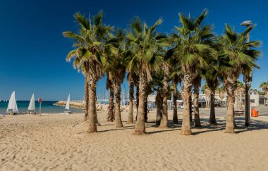 Yazın deniz tatil köyü, Palmiyeler ve otel mimarisi ile kıyı şeridi 