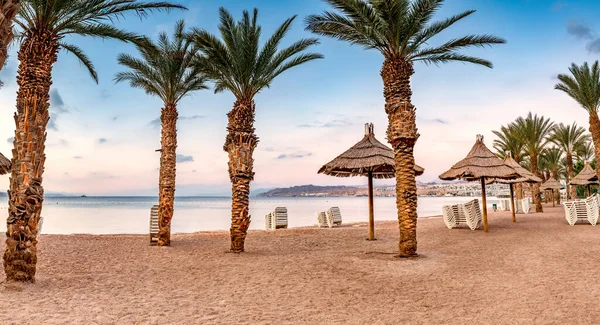 Yaz tatilinde deniz ve kumlu plajlarda palmiye ağaçları, şemsiyeler... 