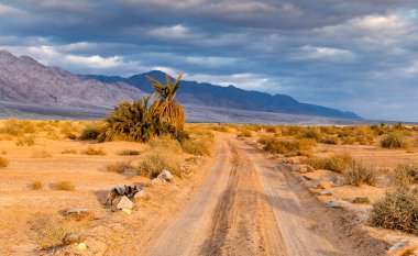 Bulutlu günbatımı gökyüzü, palmiyeli kum manzarası, yol yolu 