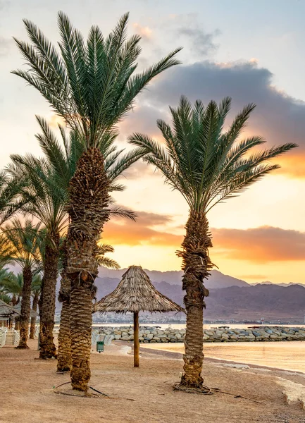 Ferienanlage Mit Meer Und Sandstrand Mit Palmen Sonnenschirm — Stockfoto