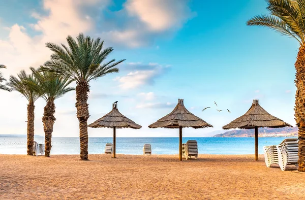 Yaz tatilinde deniz ve kumlu plajlarda palmiye ağaçları, şemsiyeler... 