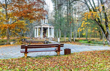 Güz parkındaki bankta sabahleyin.