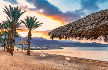 Yazlık tatil köyü, deniz ve kumlu sahil, palmiye ağaçları, şemsiye 