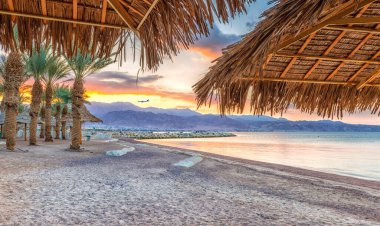 Palmiye ağaçları ve gün batımıyla tropik plaj