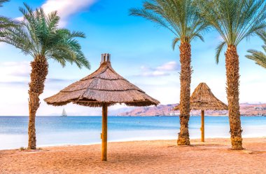 Tropiklerdeki kumsalda şemsiyeler