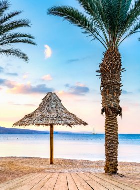 Palmiye ağaçları ve deniz manzaralı güzel tropik plaj