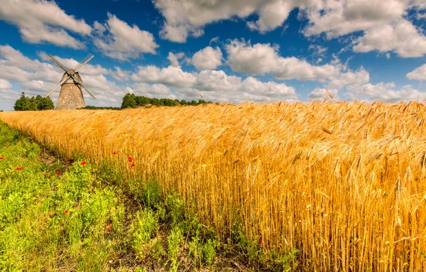 Żółte Pole Błękitne Niebo Chmurami Ceglany Wiatrak — Zdjęcie stockowe