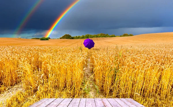 Buğday tarlası ve bulutlu kırsal alan