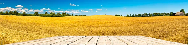 Panoramische Foto Geel Veld Blauwe Lucht Met Bewolking Van Hout — Stockfoto