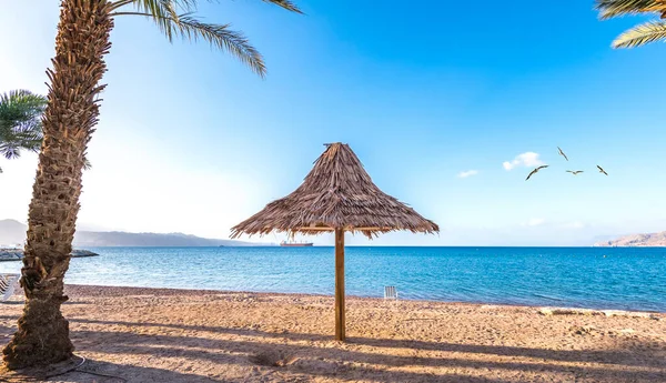 Kumlu Tropikal Denizde Şemsiyeleri Sandalyeleri Olan Güzel Bir Sahil — Stok fotoğraf