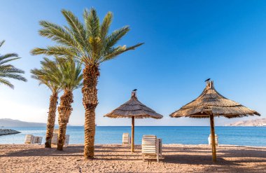 Denizde güzel plaj sandalyeleri