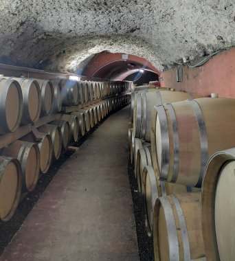 Şarap fıçıları mahzende