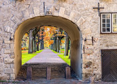 Sonbahar mevsimi, sonbahar sarı yaprakları parktaki ağaçlar, kemer inşaatı 