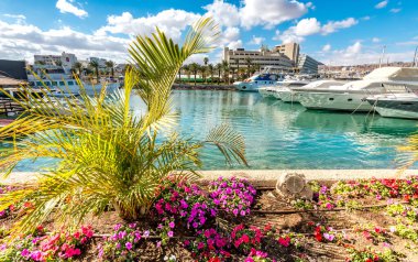 İsrail, Eilat 'ın merkez marinasında sabah