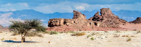 Stenen Sfinx Geologisch Natuurpark Timna Dat Prachtig Landschap Combineert Met — Stockfoto