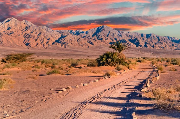 Savannah Vallei Landelijke Weg Woestijn Van Het Midden Oosten — Stockfoto