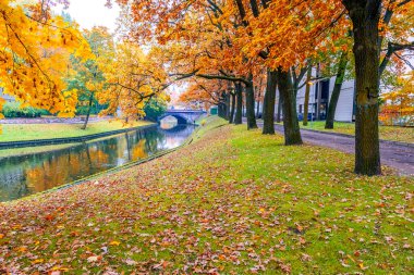 Sonbahar mevsimi, sonbahar sarı yaprakları park, nehir ve köprü üzerinde 