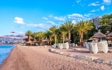 Palmiyeler ve şemsiyelerle dolu kumlu güzel bir sahilde sabah, Eilat, İsrail