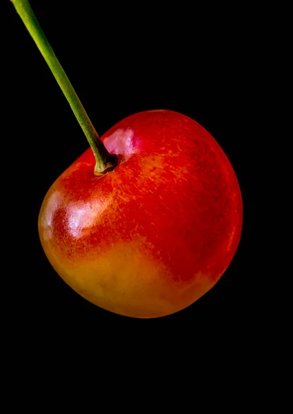 黑色底色的单颗红甜樱桃 — 图库照片