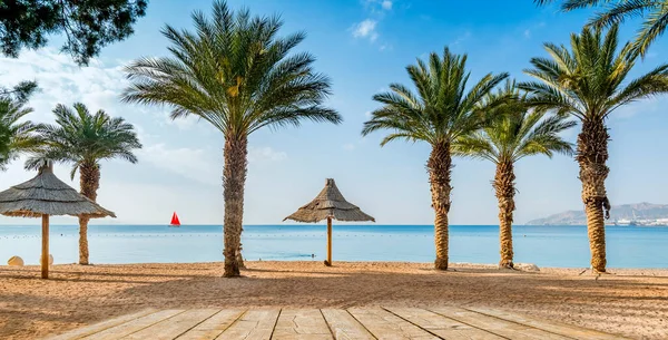 Ortadoğu, Kızıldeniz 'in kumlu sahillerinde güneşli bir sabah. Mutlu tatil ve yaz tatillerinin ilham kaynağı.