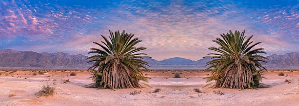 Valle Della Savana Deserto Sabbia Dopo Tramonto Colorato Immagine Raffigura — Foto Stock