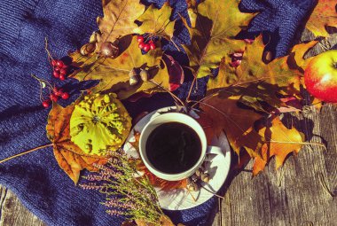 Sonbahar akçaağacı ve meşe yaprakları, bir fincan sade kahve, dekoratif balkabağı, yaban mersini, yabani mantar boletus, ahşap piknik masasında kırmızı elma ve mavi eşarp.