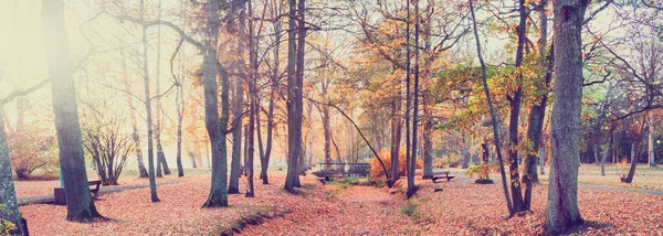 Podzim Starém Evropském Veřejném Parku Který Známý Jako Známé Turistické — Stock fotografie
