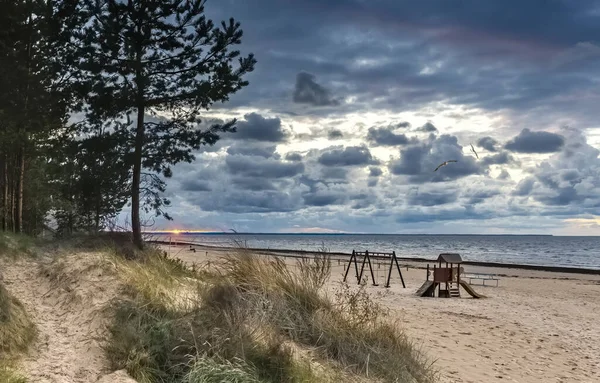 森林砂丘とゲームのためのポイントと日没の秋の海岸風景 ジュルマラ ラトビア バルト海 — ストック写真