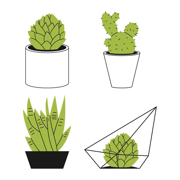 Suculentas Cactus Vector Maceta Ilustración Dibujada Mano Aislada Sobre Fondo — Vector de stock