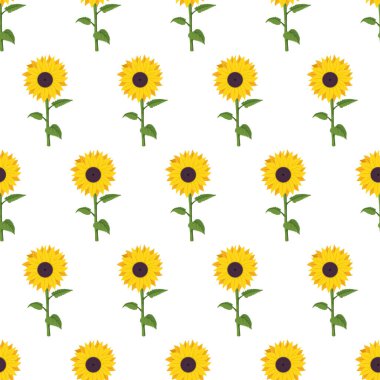 Beyaz arkaplanda ay çiçeği vektör çizgi filmi kusursuz desen.