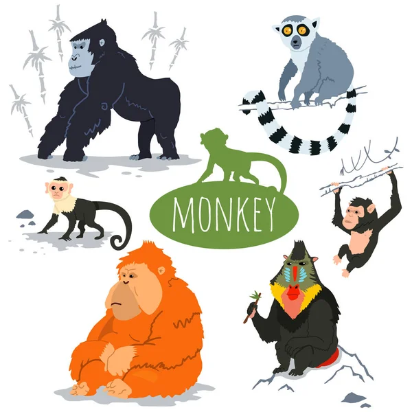 Maymun karakter vektörü seti. Bir goril, kapuçin, lemur, orangutan, şempanze, manmatkap çizimi.