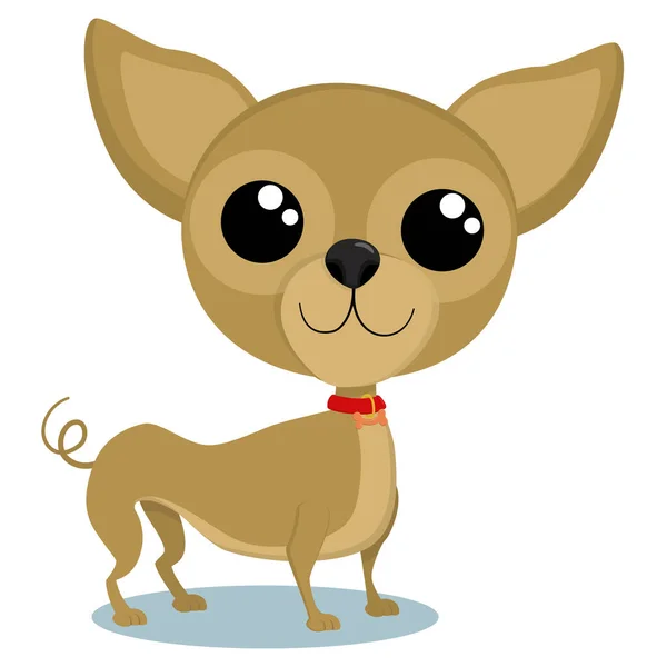 Yavru köpek Chihuahua çizgi film karakteri. Köpek vektör çizimi beyaz arkaplanda izole edildi.