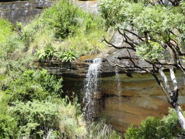 Güney Afrika 'da Kwazulu Natal' da küçük bir şelale..