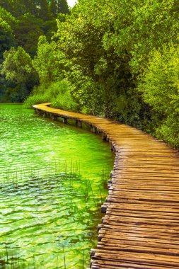 Ahşap yol duvar aracılığıyla Gölü Milli Park Plitvice, Hırvatistan.