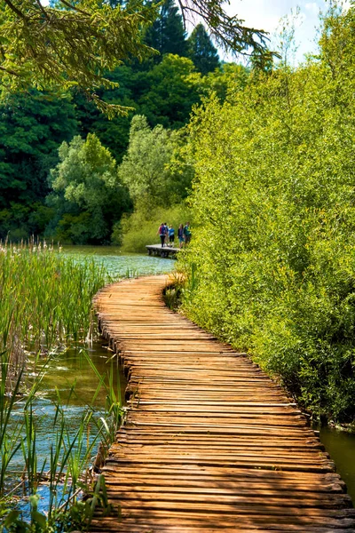 Деревянная Дорожка Через Озеро Национальном Парке Плитвицкие Озёра Хорватия — стоковое фото
